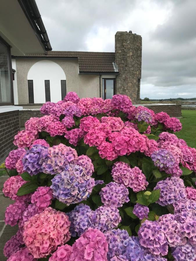 Villa Castlepoint à Strangford Extérieur photo